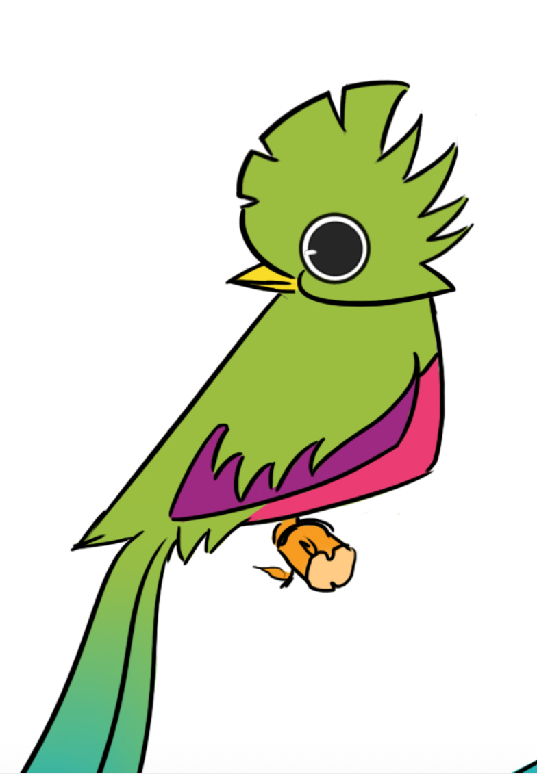 The sacred bird — Queto Quetzal